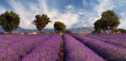 france family holidays