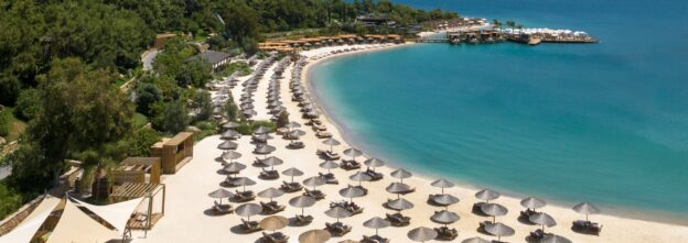 fda117fc-0950-42f8-99dd-0905530902fb