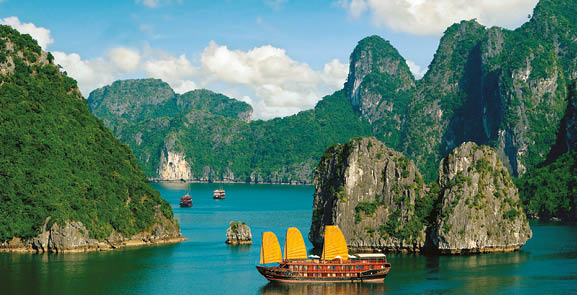 Ha Long Tots Too